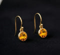 14k Gold Round Spessartite Garnet Dangle Earrings - K Jewelry Accessories