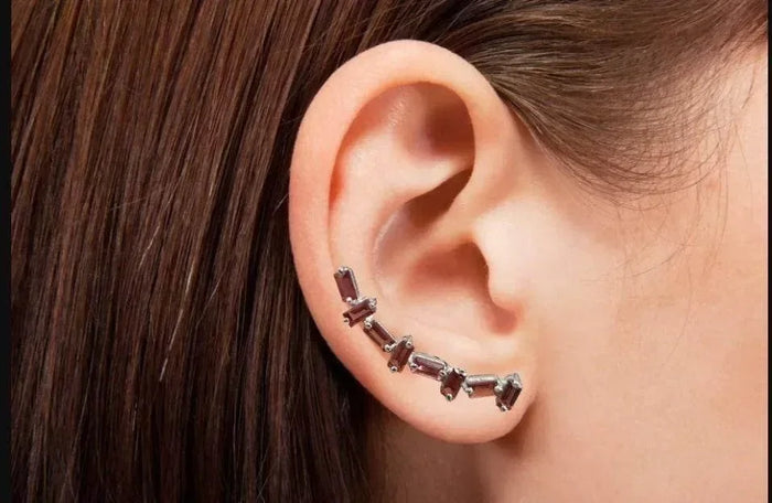 925 Silver Garnet Earrings - Crawler Shape - K Jewelry Accessories
