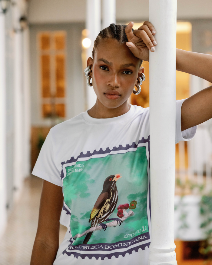 t-shirt cigua palmera souvenir dominicano