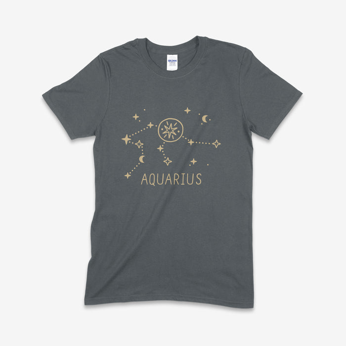 S / Aquarius / Gildan SS Tshirt- Black