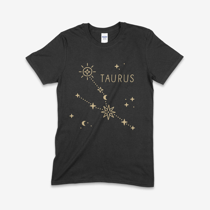 Zodiac Constellation