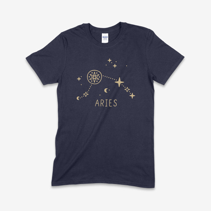 S / Aries / Gildan SS Tshirt- Black